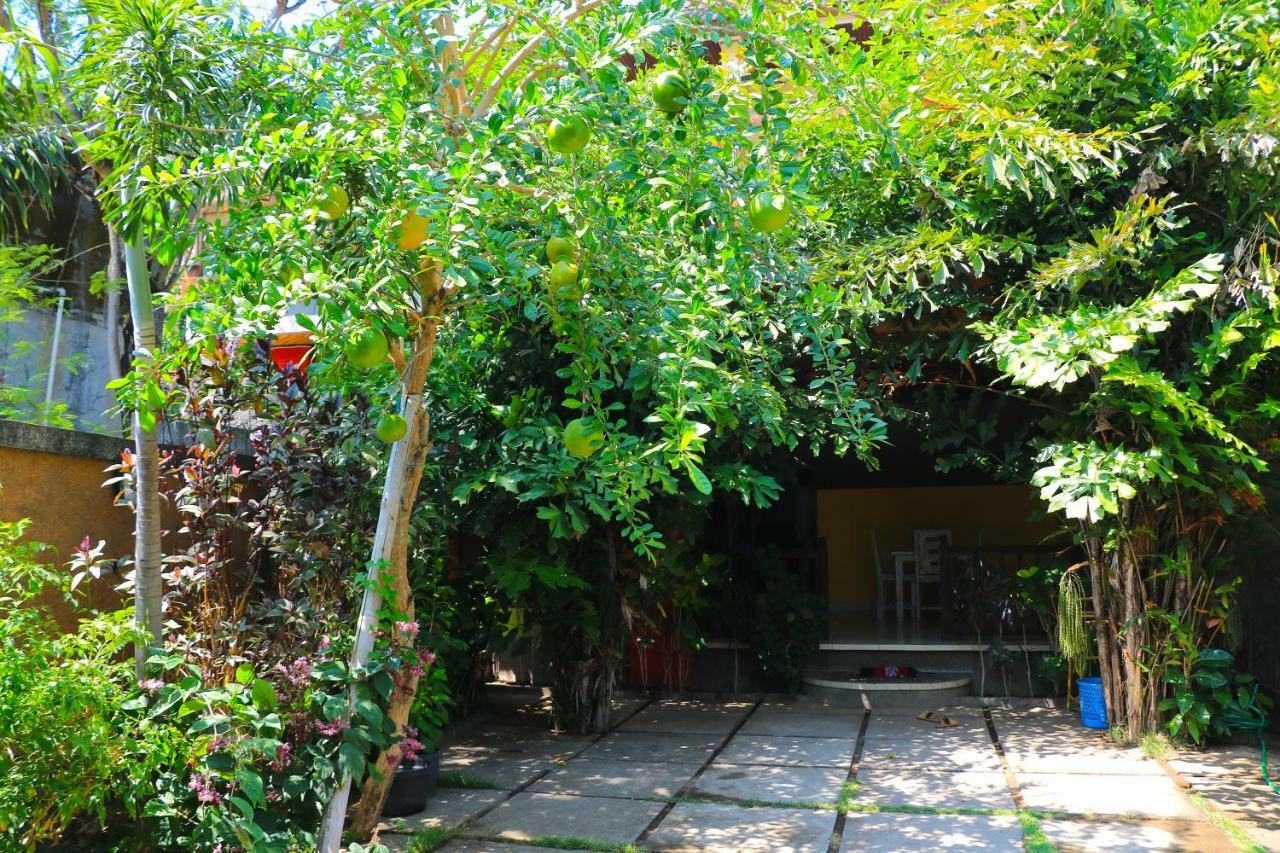 Rumah Wayans Lipah Amed Extérieur photo
